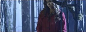 Dans l'pisode d'Halloween de la saison 4, de qui Alison a t-elle peur ?