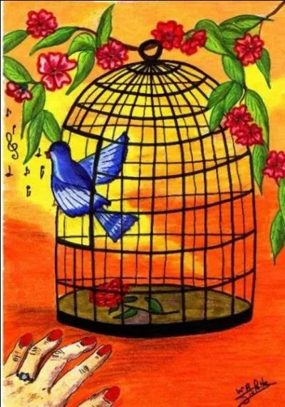 Et cette image nous emmne chez...