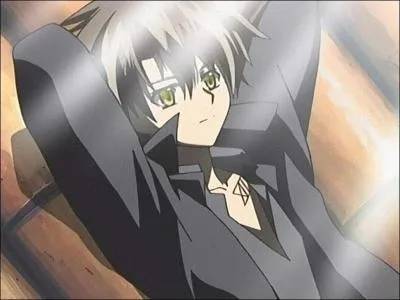 De quel manga provient-il ?