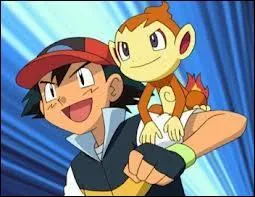 Qui est ce dresseur de Pokmon ?
