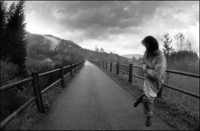 Quelles sont les lignes qui crent un effet de perspective et donnent de la profondeur ?