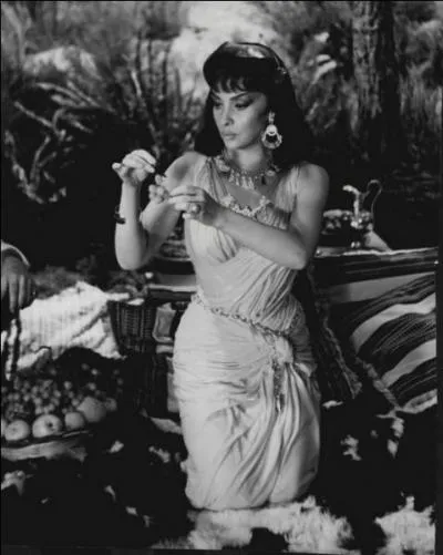 Les plans privilgient un aspect de la photo, du tableau, de l'illustration. Comment s'appelle celui qui se limite des genoux  la tte ?