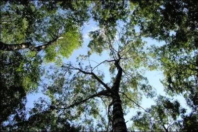 Lorsque l'on dtermine la position du regard sur l'objet par un angle en contre-plonge, on a une prise de vue :