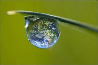 Nicolas Hulot a crit plusieurs livres. Quel est le titre de son dernier livre ?