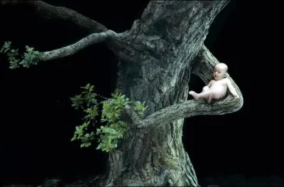 En quelle anne est-il n ?