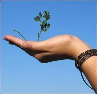 Quelle formation a-t-il fait ?