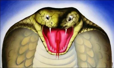 Quel moyen utilise cet artiste pour nous prsenter ce cobra ?