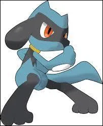 De quel objet Riolu a-t-il besoin pour Mga-voluer ?