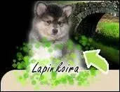 Quel levage a celui ci dans ses logos ?