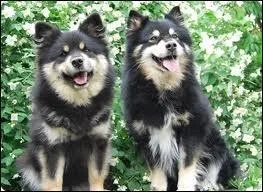 Quel tait le nom de la porte ?