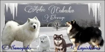 Quel est le nom de la dernire porte de l'levage Arctic of Cobaka ?