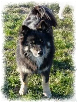 Qui sont les parents de cette porte ?