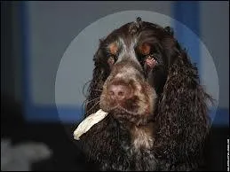  cause de quoi faut-il faire attention  son comportement alimentaire ?