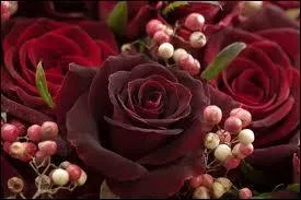 La chanson  I Will Always Love You  a t compose par :