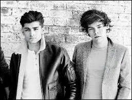 Dans Little Things, quand Harry chante le refrain plus lentement, que fait Zayn pour le taquiner ?