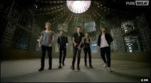 Dans  Story of my life  la premire photo qui apparat dans le liquide aprs celle de l'annonce de la chanson et du directeur du clip est celle de ?