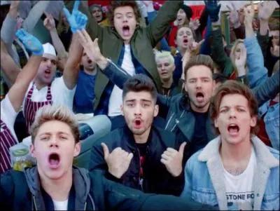 Dans  Midnight Memories  quel est le nom du kebab ?