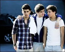 Dans What Makes You Beautiful, quand Harry chante la dernire phrase de la chanson, qui voit-on  sa droite ?