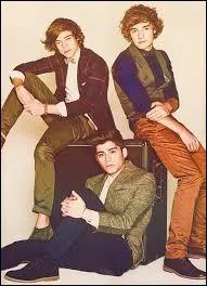 Dans Live While We're Young, au dbut du premier refrain, lorsqu'ils chantent Crazy crazy crazy, till we see the sun, en marchant dans l'herbe, qui se trouve devant les quatre autres ?