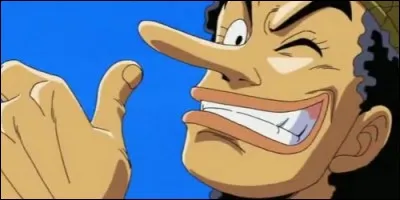 Qui est le canonnier de l'équipage au Chapeau de Paille dans "One Piece" ?