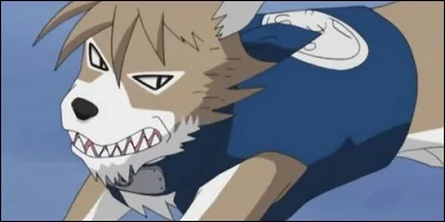 Toujours dans l'univers des invocations de "Naruto", comment s'appelle cet animal ?