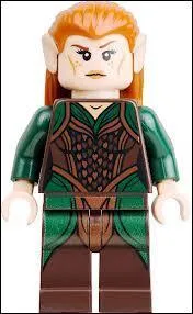 Et pour finir, un personnage du nouveau Hobbit. Qui est-ce ?