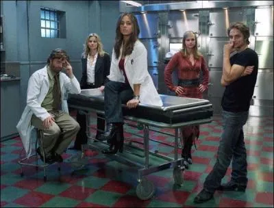 Dans quelle srie jouent ces acteurs ?