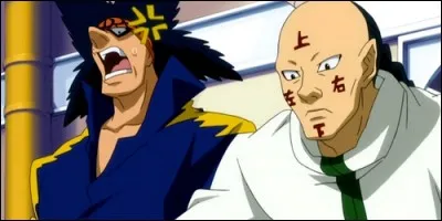 Dans "Fairy Tail", comment se nomment ces deux frères appartenant à la guilde clandestine 'Les Loups du Sud' ?