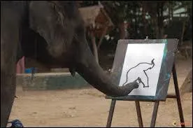 Qui a dit que tous les mangas se ressemblent ? C'est un clbre manga historique au sujet de la Seconde Guerre mondiale dont l'auteur est Tezuka Osamu :