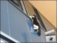 Un peu d'escalade ? Katsuhiro tomo a popularis les mangas en France avec son manga culte (c'est aussi le nom d'une voie d'escalade en Charente) :