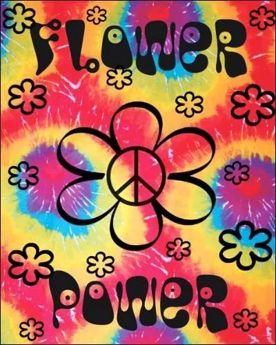 Votre copine rentre du travail ; pour lui faire plaisir et parce que le fleuriste a fait faillite, vous lancez :