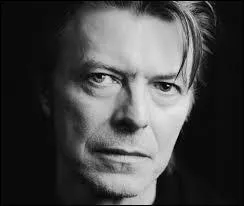 Mais que vient faire Bowie dans cette histoire de jazz, me direz-vous ? Je vous rpondrai qu'il a collabor avec un(e) musicien(ne) de jazz fusion. Lequel/Laquelle ?