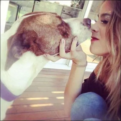 Quelle saison sort en Argentine en ce moment ? (2013)