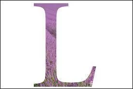 Le mot ''lamellé-collé'' détient un record avec cinq ''L'' . Où peut-on trouver un lamellé-collé ?