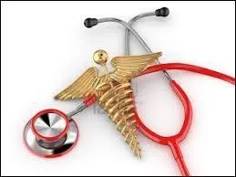 Le mot ''odontostomatologie'' est le seul mot français comportant six ''O'' . De quelle partie du corps s'occupe cette spécialité de la médecine ?