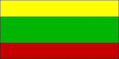 Quel pays a un drapeau composé de trois bandes horizontales, l'une jaune, l'autre verte et la dernière, rouge ?