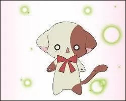 Comment s'appelle le compagnon de Kilari ?