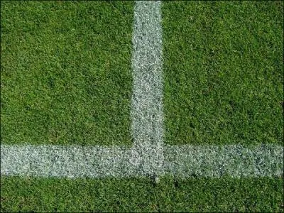 Parmi ces joueurs, lequel n'est pas/plus un joueur de l'quipe de France ? (2013)