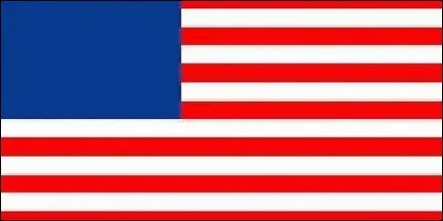 Les symboles se trouvant dans le rectangle bleu du drapeau des États-Unis ont été effacés ! Quels sont ces symboles et combien y en a-t-il ?