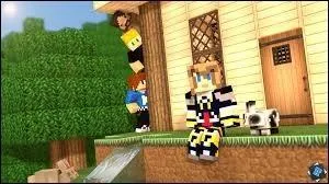 Qui a rconcili la CoopTeam ?