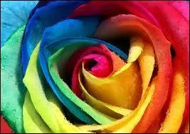 Quelle est cette couleur ?