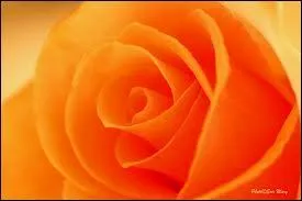 Quelle est cette couleur ?