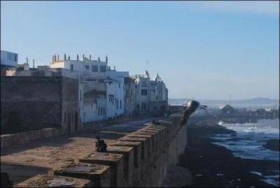 Parmi les manifestations suivantes, laquelle n'a pas lieu  Essaouira ?