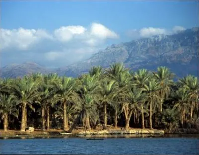 Belle le tropicale qui mrite de figurer dans le quiz. C'est l'archipel ________ , ________ :