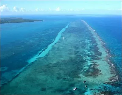 Regardez, je vois quelque chose dans l'eau ! Ne me dites pas que c'est la _______ de _______ du _______ ?