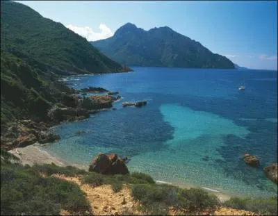 Ah, la beaut de la plante ! Nous continuons notre voyage dans le golfe de_______ au Cap _______ en _______ :