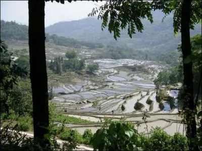 Il y a aussi le paysage de _______ en _______ :