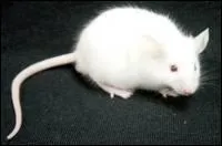  quel film vous fait penser cette image ?