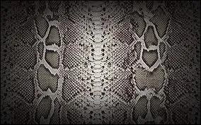  quel film vous fait penser cette image ?