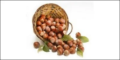 Quel est l'autre nom d'une noisette ?